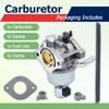 Carburetor Replacement for Briggs Stratton 594601 796587 796250 795486 591736