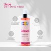 Tónico Facial De Rosas Con Arroz Vemare Equilibra 250 Ml