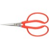Kobayashi Made in Scissor 越路 Grapes between 引鋏 (Stainless Steel)