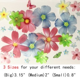 CHOCKACAKE Set of 27 Edible Flowers & Butterflies Cupcake Toppers Wedding Cake Party Food Decoration Mixed Size & Colour