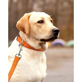 FunTags Reflective Dog Collar, Sturdy Nylon Collars for Large Girl and Boy Dogs, Adjustable Dog Collar with Quick Release Buckle, Orange