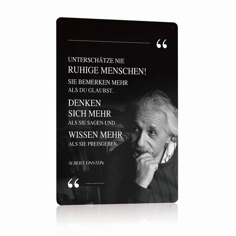 Set of 5 Metal Signs Albert Einstein Sayings Retro Sign