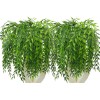 Artificial Weeping Willow, Plastic Plants Greenery Leaves Fake Hanging Vine