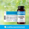 Glucosamin Chondroitin MSM + Vitamin C Hochdosiert - 100 Kapseln