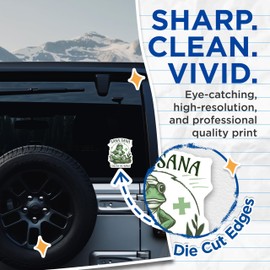 (2 Pack) Sana Sana Frog Stickers - Cute Cartoon Frog - Medicinal Herb Magic Frog - 5" On Longest Side - Sticks to Smooth Flat Surfaces - Made in USA - BMCS4886