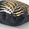 TAOSON Pack of 2,Gold Pillow Covers Velvet Cozy Soft Gold