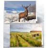12 x British Wildlife Folding Greeting Cards with Envelopes. Blank