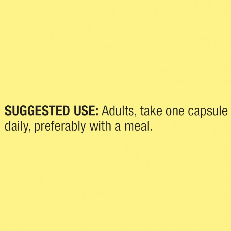 Spring Valley Turmeric Curcumin with Ginger Powder 500 mg 90