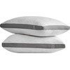 ACCURATEX Pillows King Size Set of 2, Rayon Derived from