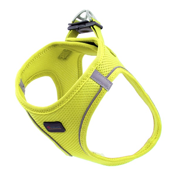 Filbert Dog Harness Small Sized Dog, Step-in Reflective Harness Small