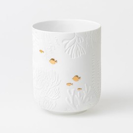 Räder Lantern Fish