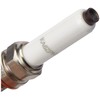 Spark Plug "Bowl"