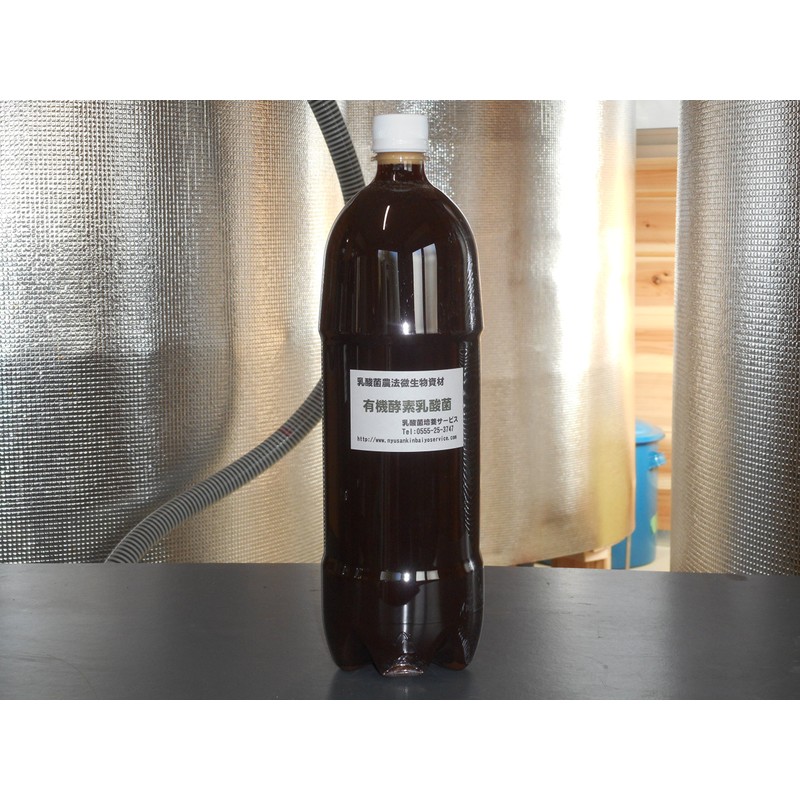 Seagoshima Spring Turmeric Powder, 3.5 oz (100 g) x 2