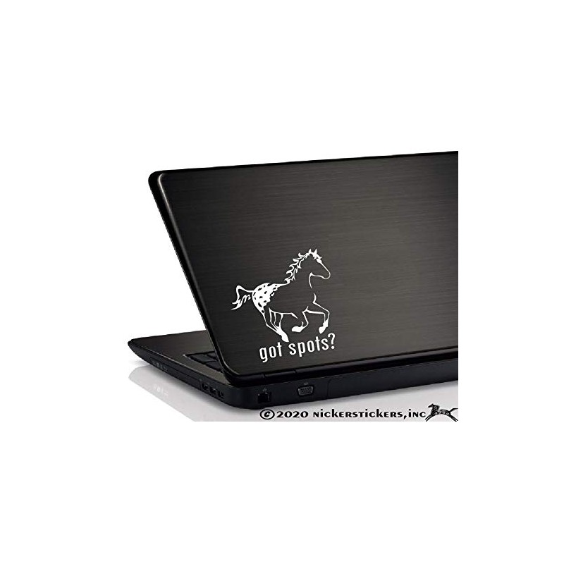 Got Spots? Appaloosa Horse Trailer Vinyl Window Decal Sticker