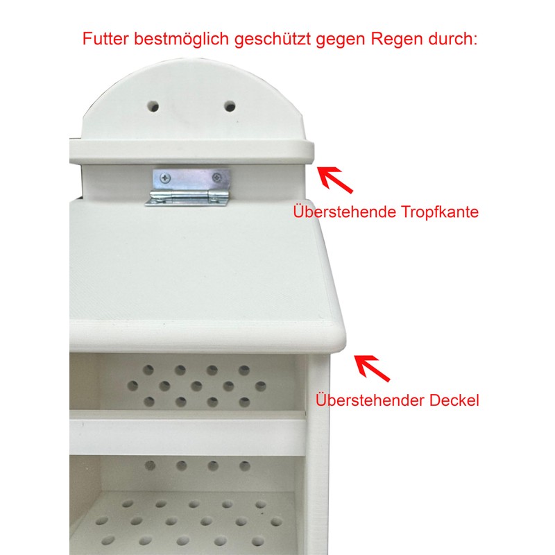 Squirrel Feeding Box - Squirrel Feeding Station - Squirrel Feeding