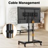 TAVR Furniture Mobile TV Stand Rolling TV Cart Floor Stand