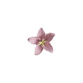 AMERRY Lily, 3.58" Handmade Ceramic Wall Flowers, Decorative Floral Wall Art, Lifelike Artificial Wall Decor for Home (Classic, Pink)