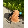 ChalkMate Capybara Snore Chalk Bag