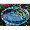 Abalone Shell, Seashell Incense Burner, Smudge Bowl for Holding Smudge