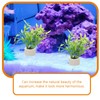 POPETPOP Pack of 5 Aquarium Ring Aquatic Plants, Ceramic Water