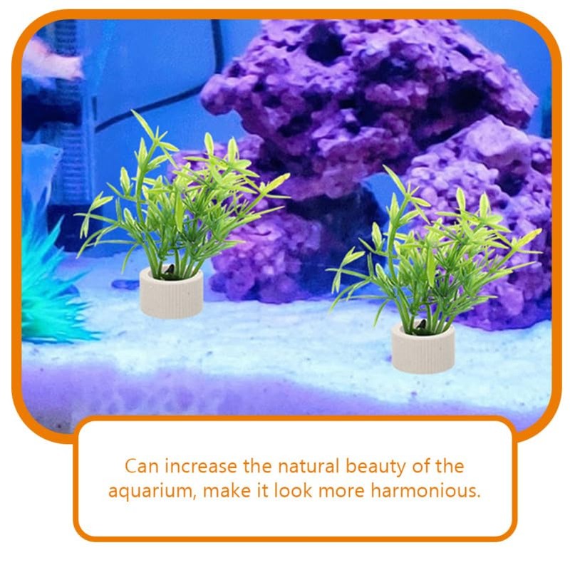 POPETPOP Pack of 5 Aquarium Ring Aquatic Plants, Ceramic Water
