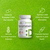 Bromelain Supplement 2,000mg Per Serving, 240 Capsules – Natural Proteolytic