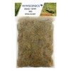 WWScenics | 10mm Dead Static Grass | 30g | WSG10-047