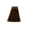 Goldwell TOPCHIC HAIR COLOR dunkel-aschblond 6/A 60ml