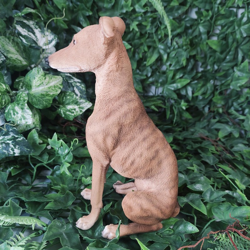 Vivid Arts - Whippet - XRL-WHIP-D