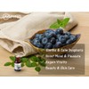 AOPING Blueberry Essential Oil - 100% Pure Organic Natural Plant
