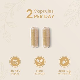 Advanced Psyllium Husk Fibre Supplement 4200mg | Made in The UK | 2 per Day Psyllium Husks Capsules w/Inulin & Probiotics | Natural Laxatives for Constipation Relief for Adults | 90 Capsules