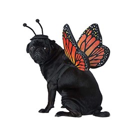 California Costumes Pet Butterfly Dog Costume