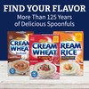 Cream of Rice Gluten Free Hot Cereal, 14 Ounce (Pack