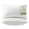 Ashler Home Deco 12x20 Pillows Insert (Set of 2) -