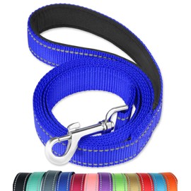 FunTags 6FT Reflective Dog Leash with Soft Padded Handle for Training,Walking Lead for Large & Medium Dog,1 Inch Wide,Royal Blue