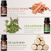 Woody Essential Oils Set, Men Scents Fragrance Oil for Candle