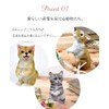 Maruwa Boeki CT Mignon Bouquet Cat Odd Eye 420867309 Approx.