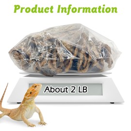 Apatal Reptile Cork Bark Bulk 2 Lb Cork Wood for Terrarium, Natural Flat Cork Bedding Terrarium Substrate for Bearded Dragon Snake Spiders Hermit Crabs Geckos Tortoise