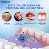 BodyAccel Oral Spray Portable Breath Freshener for Long-Lasting Freshness