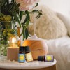 Colomix Top 10 Floral Fragrance Oils Set, Essential Fragrance Oils
