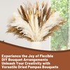 70 Pcs Pampas Grass Decor, Artificial Dried Flowers for Vase,