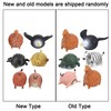 Mini Animal Model Toys Set Pressure Relieve Learning Simulation Big