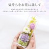 Marika Flower Preserved Flower Offering Flower Bottle (Purple)