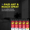 Raid® Ant & Roach Killer 26, Fragrance-Free Bug Spray, 17.5