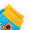 Jeasona 5 Pairs Capybara Socks Women Capybara Gifts for Lovers