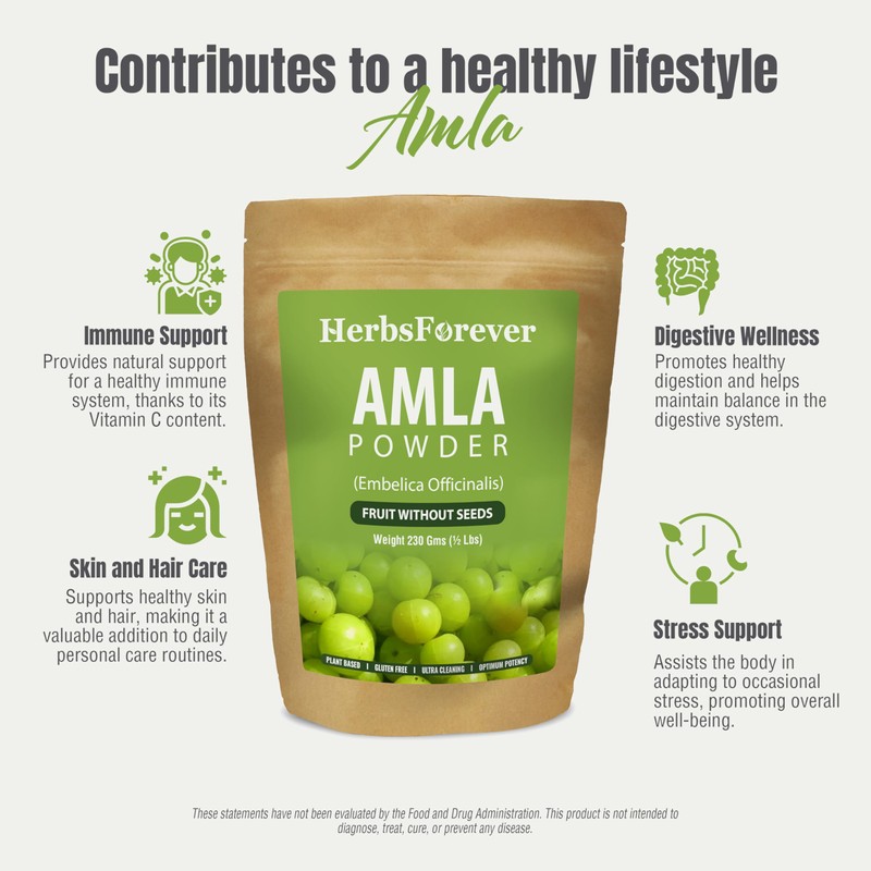 Herbsforever Amla Powder | Phyllanthus Emblica | Rich in Vitamin