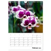 Orchids - Tropical Beauties (Wall Calendar 2025 DIN A4 High),