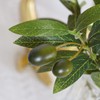 CURTEK 4 Pcs Artificial Olive Branches for Vases 19 Inch