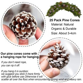 KY-Tech Christmas Pine Cones, 25pcs Natural Pine Cones 3-4CM Rustic Snow Pinecones with String Christmas Tree Decorations Garland Pine Cones Large for Craft DIY Wreath Making Supplies Christmas Decor