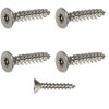 Fastenere Flat Head Torx Security Sheet Metal Screws - #14